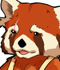Red Panda chef portrait